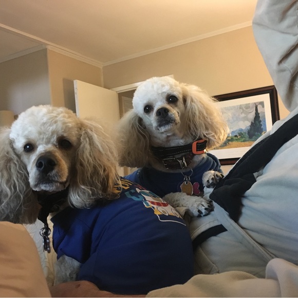 Meet your Posher, Laura - Picture 4 of 12